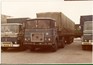 FTF   31-39-FB