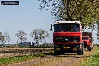 AMP_ 0177