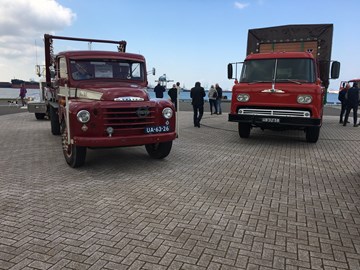 IMG_1981
